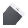 iPhone 8 LCD Screen Assembly (Premium)