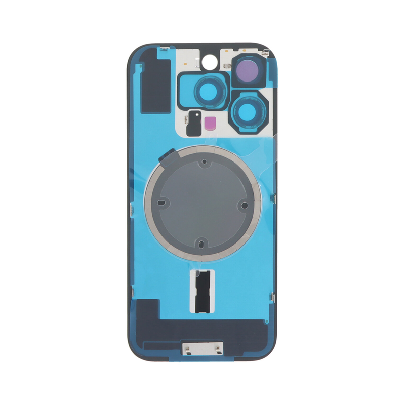 iPhone 16 Pro Back Cover (Natural Titanium) (OEM)