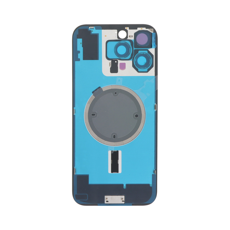 iPhone 16 Pro Max Back Cover (Natural Titanium) (OEM)